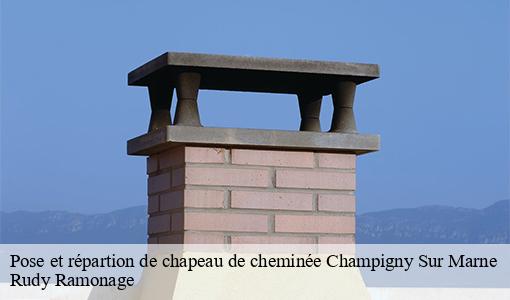 Pose et répartion de chapeau de cheminée  champigny-sur-marne-94500 Rudy Ramonage