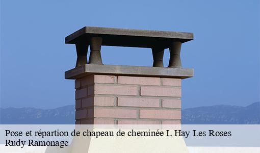 Pose et répartion de chapeau de cheminée  l-hay-les-roses-94240 Rudy Ramonage