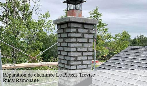 Réparation de cheminée  le-plessis-trevise-94420 Rudy Ramonage